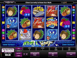 what-a-hoot-video-slot Game